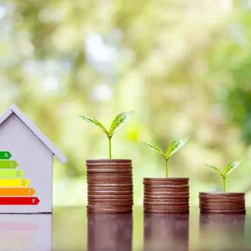 101 Budget-Friendly Sustainability: Transforming Your Home into an Eco-Haven 