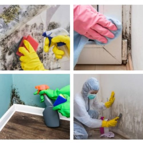 How to Clean Mold off Awnings Quickly and Easily