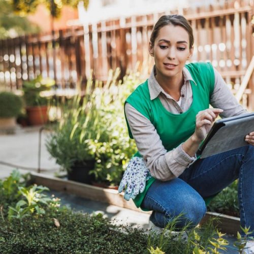 Blooms by Design: Mastering the Art of Garden Planning