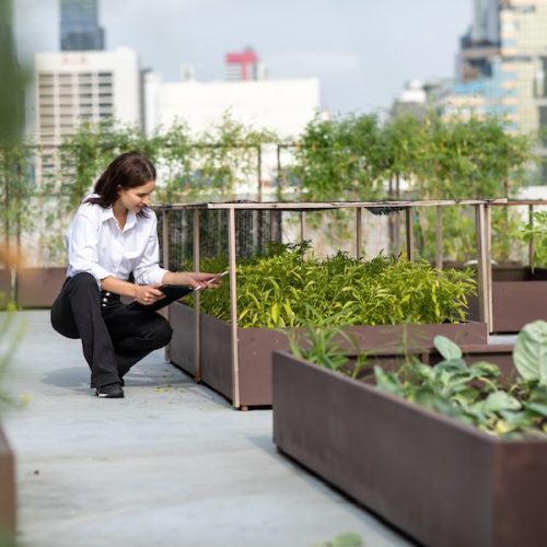 Cozy Outdoor Retreats: Crafting Pocket Gardens for Urban Bliss